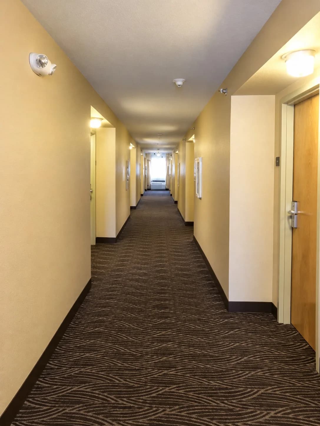 Carpeted guest-room corridor with daylight at the far end